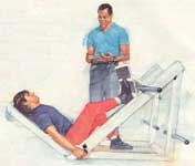 Increasing Knee Strength